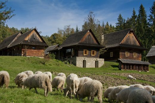 valašské muzeum - ovce